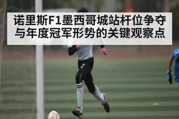 诺里斯F1墨西哥城站杆位争夺与年度冠军形势的关键观察点